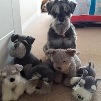 Emma Forbes-Hayes (@emmalfh) 's Twitter Profile