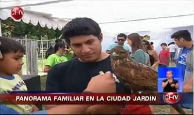 pulsarfalconer's profile picture. Tecnología y ciencia Noticias tecnológicas
