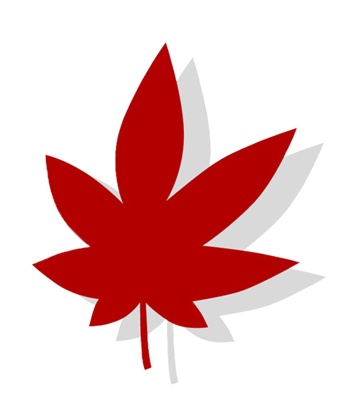 momijichaya's profile picture. 岐阜県土岐市曽木町にございます、温泉施設内にあるお食事処です。温泉で癒された後は、当店で食のお時間をお楽しみくださいませ(^^)