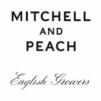 Mitchell and Peach(@mitchellpeachuk) 's Twitter Profileg
