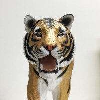 金虎酒造営業部長 (@kintora_nagoya) 's Twitter Profile Photo 金虎酒造営業部長 (@kintora_nagoya) 's Twitter Profile Photo