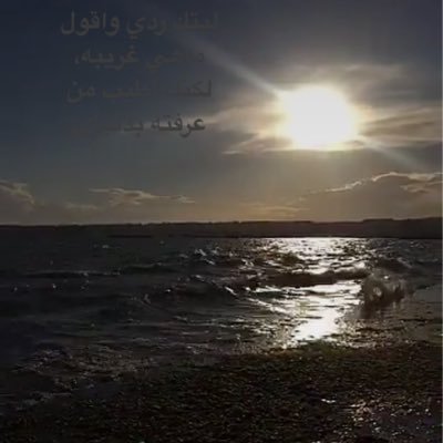 sh_woogab's profile picture. الحمدالله حمدا كثيرا طيبا مبارك فيه🌿🌸
