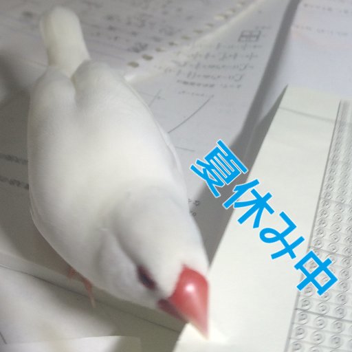 へるさんのプロフィール画像