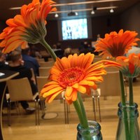 DD-Tweets (@ddcolloquium) 's Twitter Profile