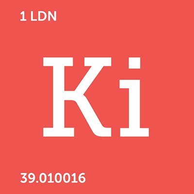 Ki engineer successful companies. We provide entrepreneurs with the capital and support required to transform their vision into a success.