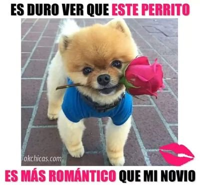 NancyRo61629808's profile picture. Feliz dia