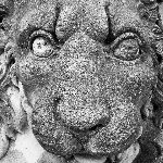 simon wallace (@returnedtoday) 's Twitter Profile