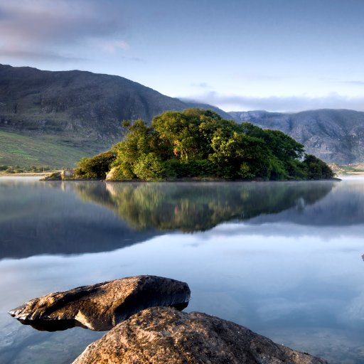 XiaomingFan2's profile picture. 