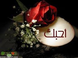 5WulpTEcGcisXcE's profile picture. 