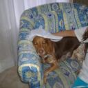 Jeff Forman - @jsfmortgage - Twitter