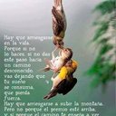 luz yanira saldaña (@018499) Twitter