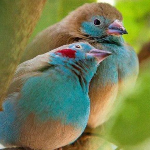 abunourhamad's profile picture. 