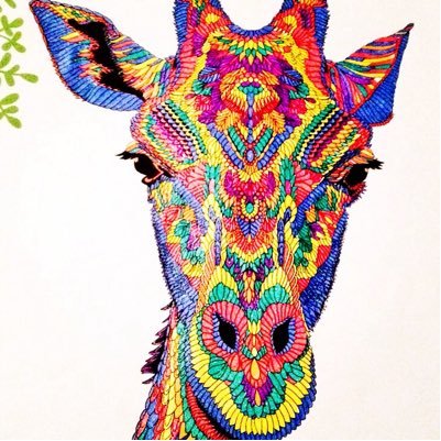 Download Creative Colouring On Twitter A Lovely Colouring I Did From The Menagerie Animal Colouringbook Lion Wildlife Https T Co Xnvgotsx2b
