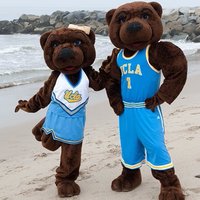 Silicon Beach Bruins(@SiliconBruins) 's Twitter Profile Photo