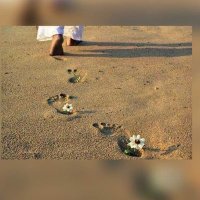 saif.aldosrry‏ (@aif_ss) Twitter profile photo