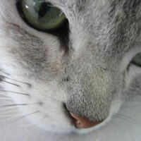 manrui (@manrui1969) Twitter profile photo