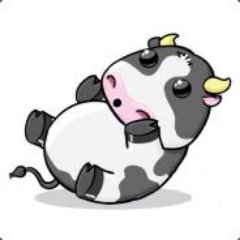rollingcow1's profile picture. Moo.