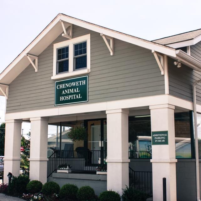 chenowethanimal's profile picture. Caring for Louisville's furry friends for over 30 years. A healthy pet helps have a healthy life!