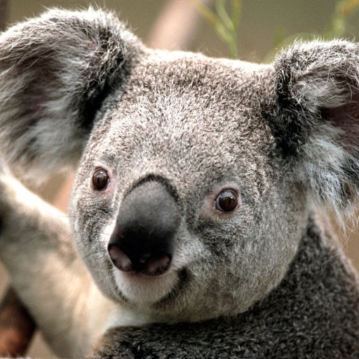 evb879's profile picture. Hello...