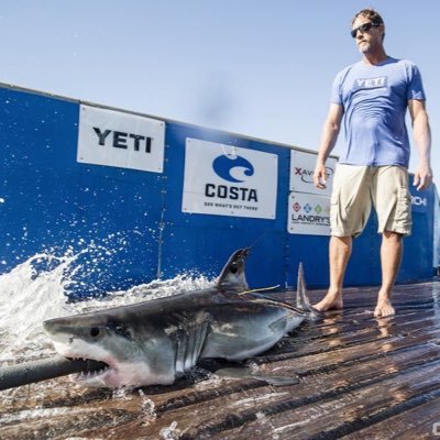 I am a young white shark named after Manhattan. Ocearch hope the tracking of sharks like me near the city will help connect people to our ocean movement.