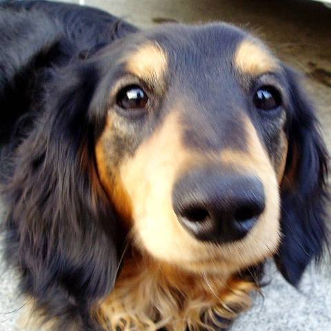 tanaka_katumi99's profile picture. 