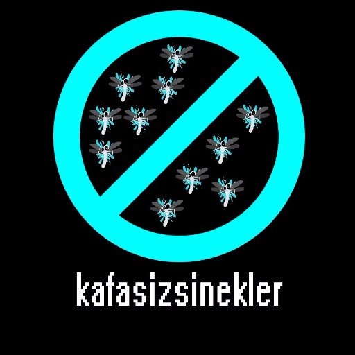 KafasizS's profile picture. 