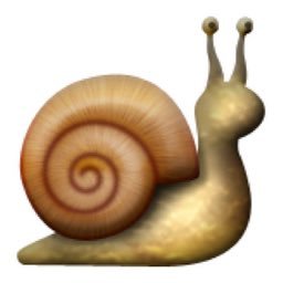 Snails can race too // @saumieyy is the snail behind this page