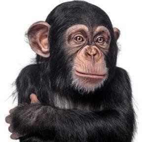 tmptrash's profile picture. Sex, sport, science and computers...