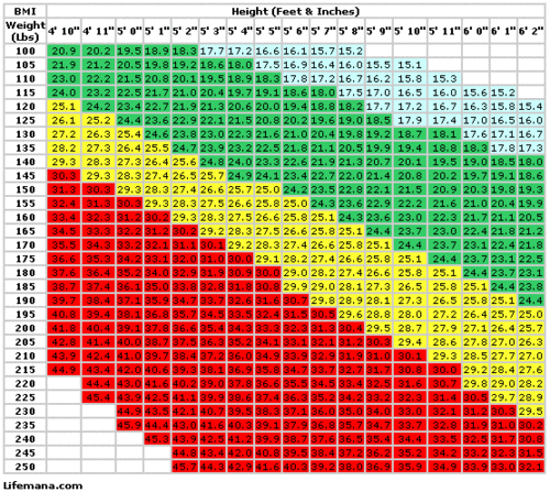 Teen Bmi Scale 20