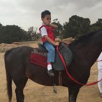 محفوظ سرحان الخليدي (@motamaredbeeh) 's Twitter Profile