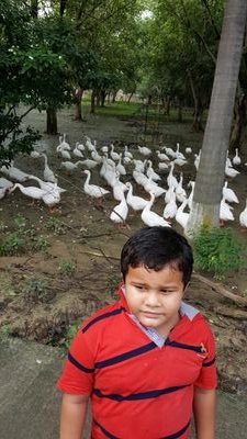 RamYadavSP's profile picture. 