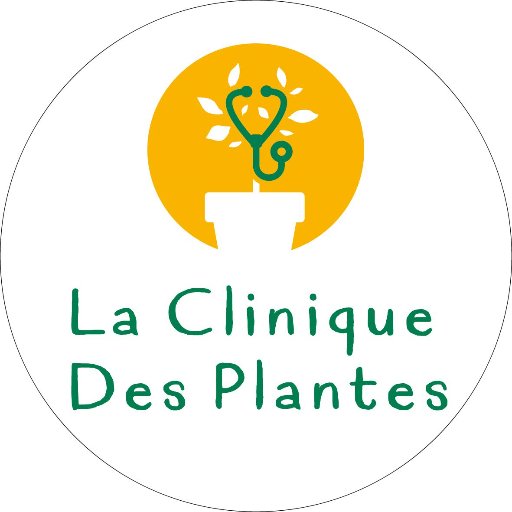 La clinique des plantes aide les jardiniers ! Envoyez des photos de vos plantes malades, nous essayerons de trouver un diagnostic !