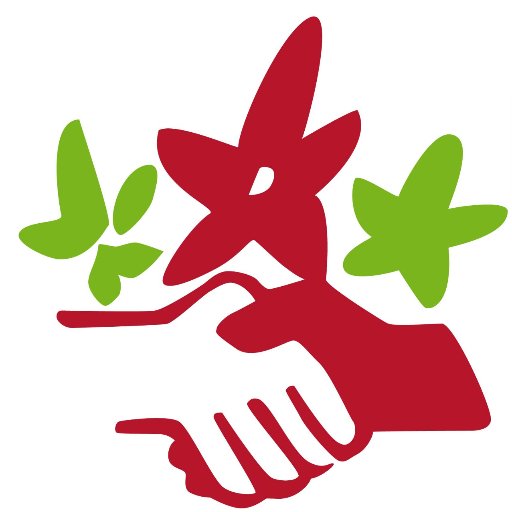 NFJBraunschweig's profile picture. 