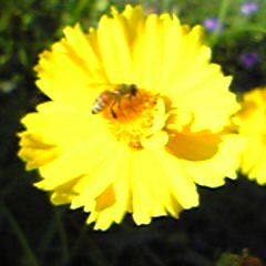 kaitakuyoshi's profile picture. 