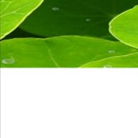 Hydrovolution (@hydrovolution) 's Twitter Profile