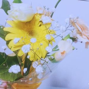 ハムストリング