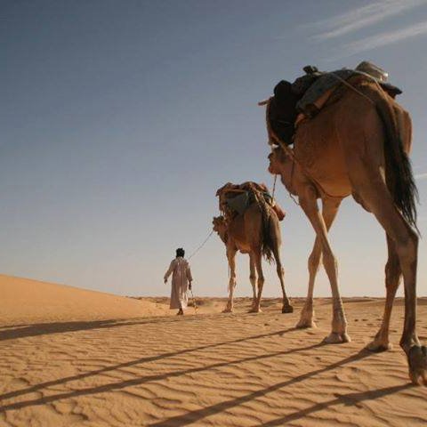 Agre12Med's profile picture. 