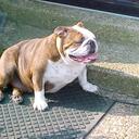 Carson Mullins - @retiredpop - Twitter