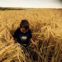 Shannon Sereda (@shannonsereda) 's Twitter Profile