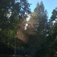 Jerome Turner (@jezturner) 's Twitter Profile Photo