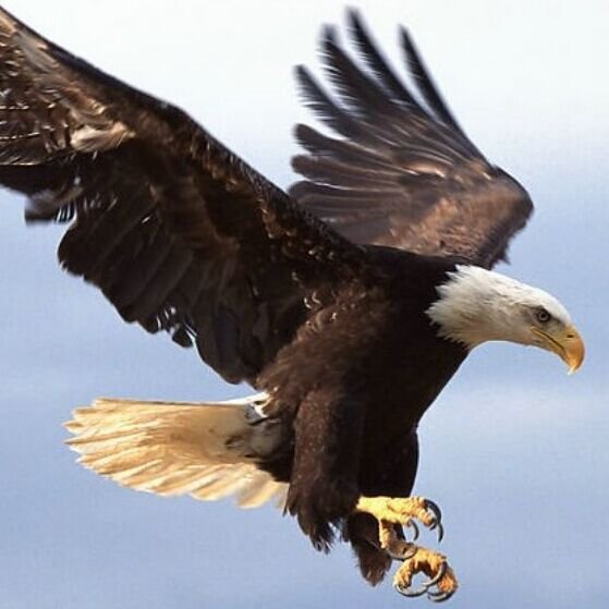 ghl143's profile picture. 