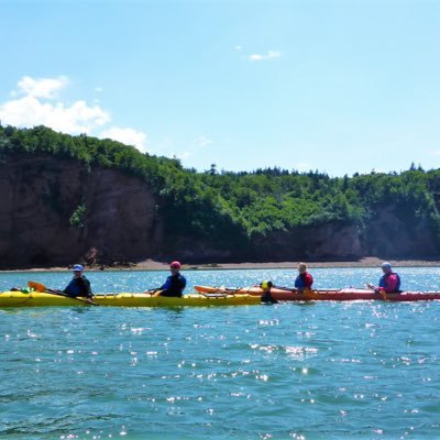 SincerelyYour17's profile picture. 