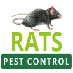ratpestcontrol's profile picture. We are the specialised for all of your problems  regarding Rats in Perth. We use the latest Techniques, Products and  Equipment’s to deal with Rats Infestation.
