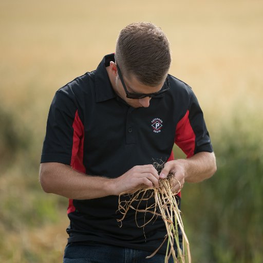 Farmer, Canadian Grain Merchant, Speculator, Market Analyst #Oats and #Wheat are my Main Game . Tweets are my own.