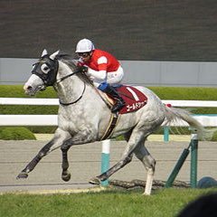 けんちゃんの競馬ブログのTwitterです。予想の方を無料で提供してます。 サクラバクシンオー産駒大好きです。２２歳です。