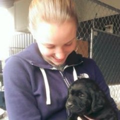 ErinWagner12's profile picture. Sounders FC fan! Working on Xbox and Windows Store. ewags12