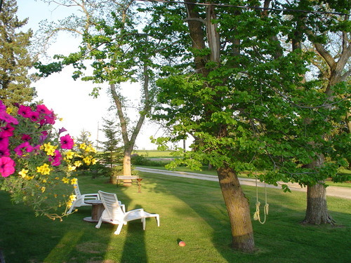 landbrokersinc's profile picture. The Real Estate Company That Specialized In Land.  Contact us @ (706) 965-9000