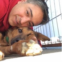 ALEX, INSTRUCTOR K9 (@mastercan_chile) 's Twitter Profile