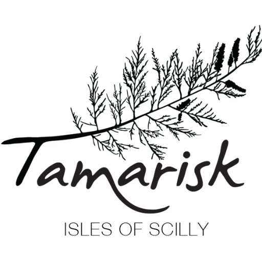 Contemporary art gallery based in the heart of Hugh Town on St Mary’s in the Isles of Scilly, Cornwall. gallery@tamariskscilly.co.uk 01720422334