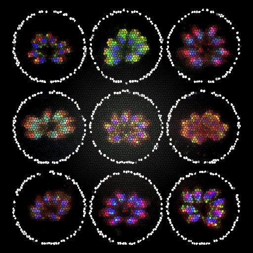 Molecular parasitologist at the University of Georgia studying the organelles of Toxoplasma gondii. Half 🇲🇫, half 🇲🇽 (or vice versa). Amateur entomologist🐞